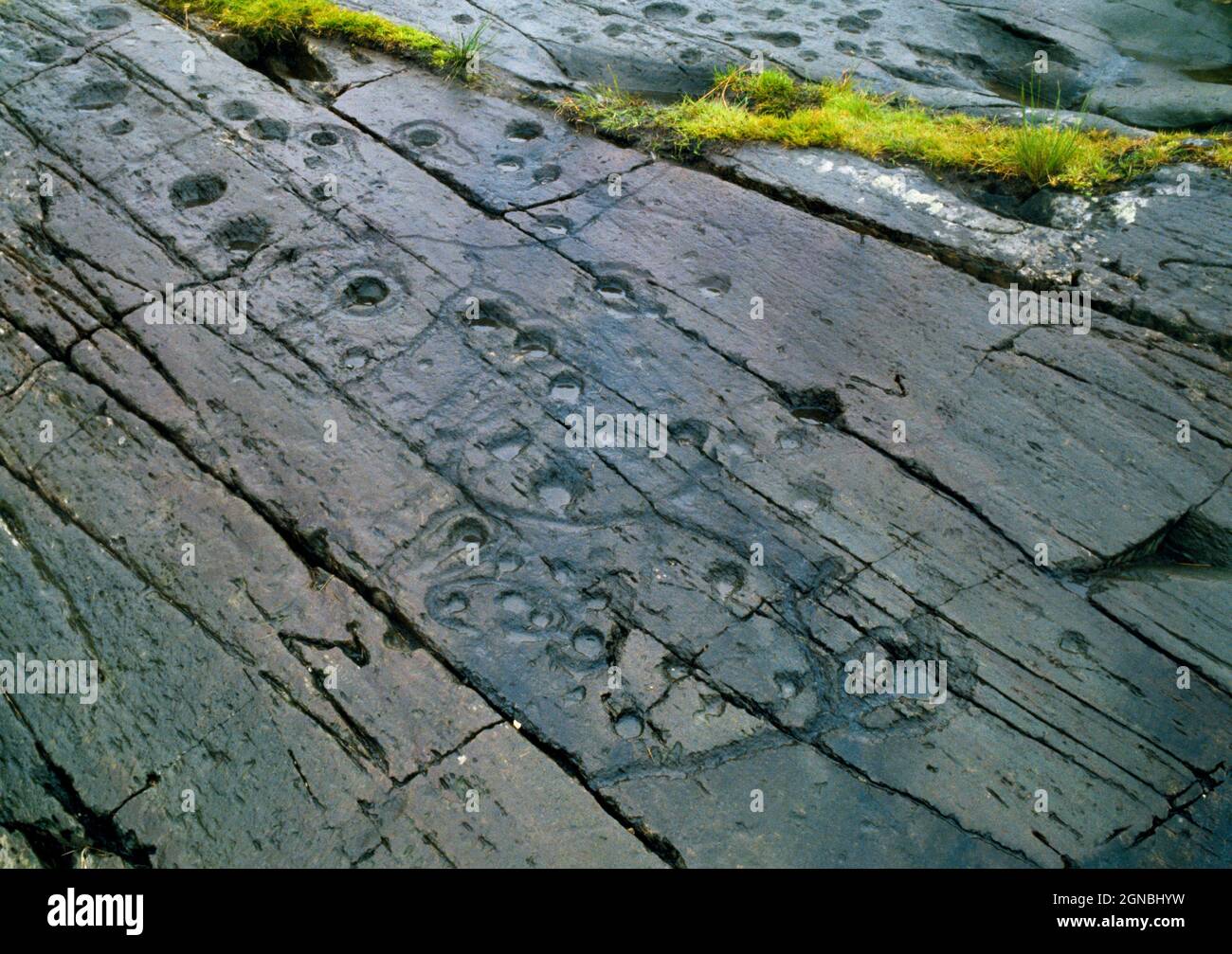 Vedi SSW di Kilmichael Glassary (1) arte rupestre preistorica, Argyll, Scozia, Regno Unito, con gole a beccatura, contenitori, coppe semplici e contrassegni a scodellino e anello Foto Stock