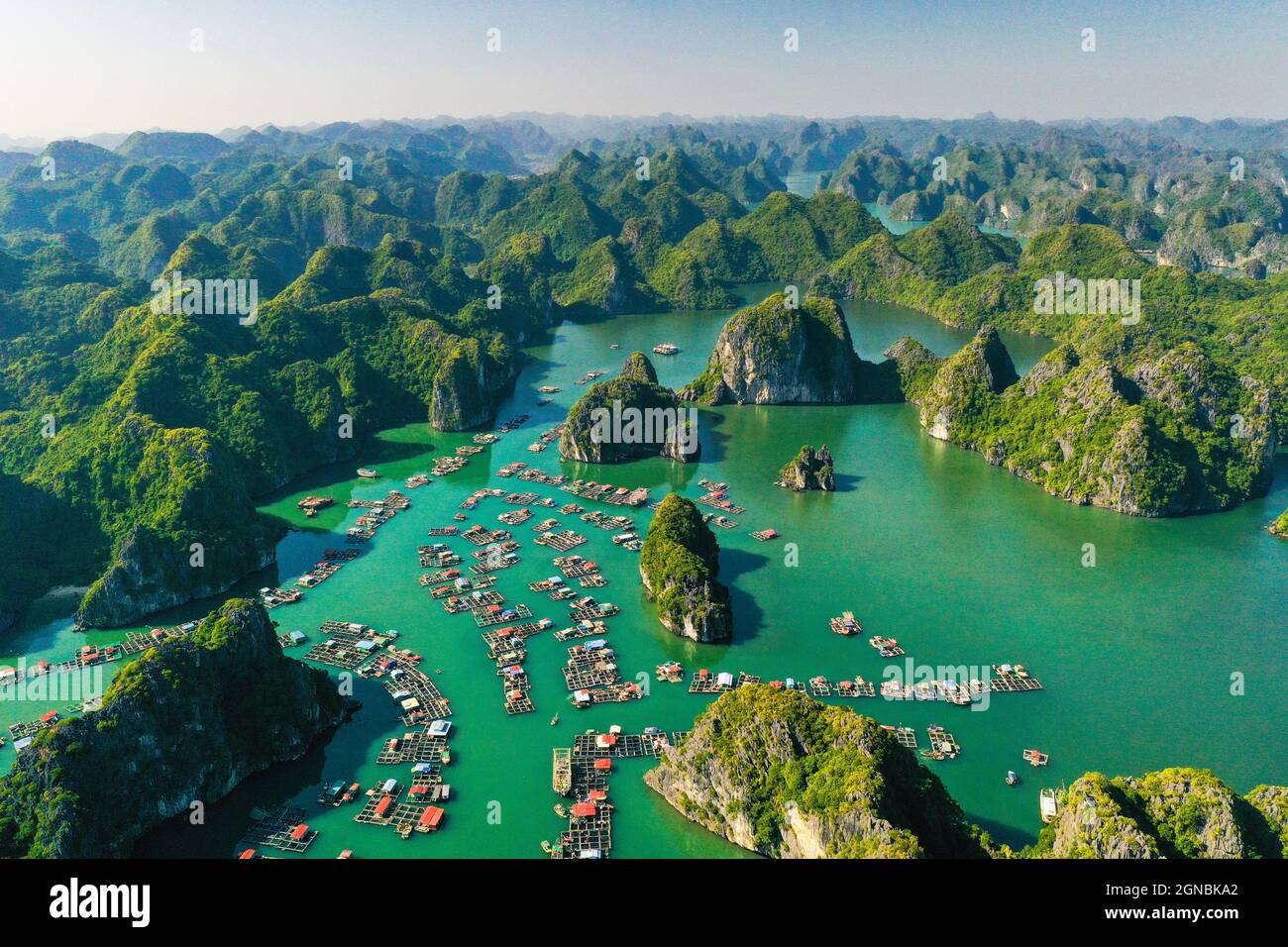 Baia di LAN ha nella città di Hai Phong nel nord del Vietnam Foto Stock