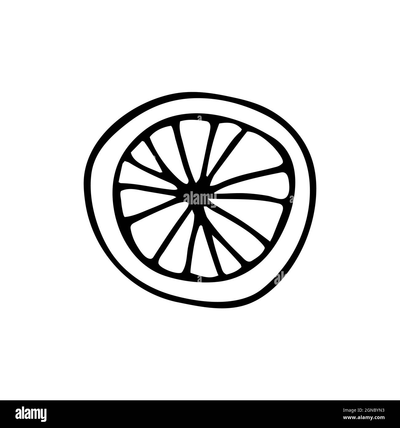 Agrumi disegnati a mano in stile doodle vettoriale. Illustrazione isolata su sfondo bianco. Per grafica e web design Illustrazione Vettoriale