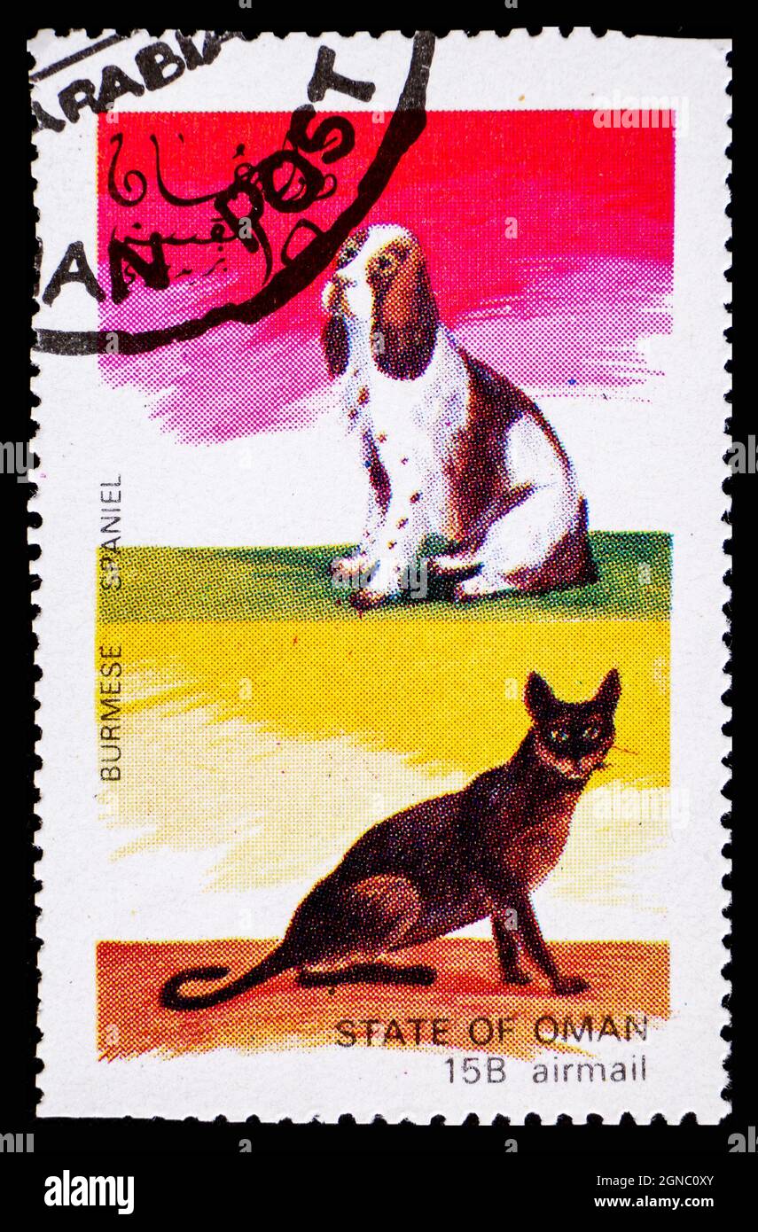 OMAN - CIRCA 1972: Un francobollo dell'Oman che mostra gatto birmano e cane spagnolo Foto Stock