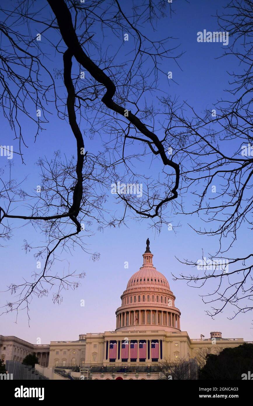 Capitol Building all'alba con ramo d'albero. Foto Stock