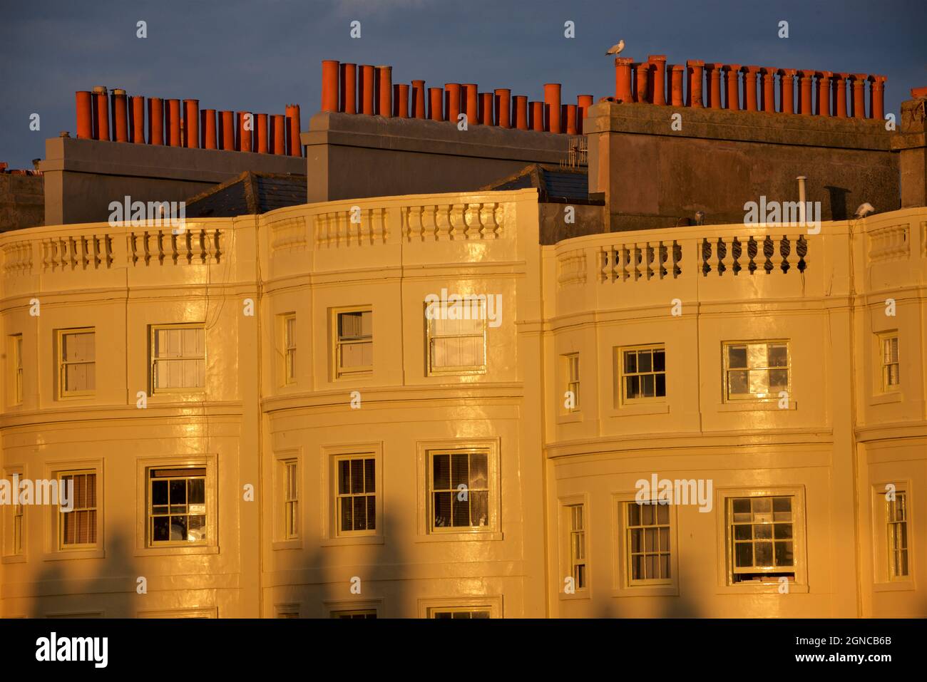 Architettura Regency illuminata dalla luce solare dorata alla fine della giornata. Eleganti case georgiane di Brunswick Square, Hove East Sussex Inghilterra Foto Stock