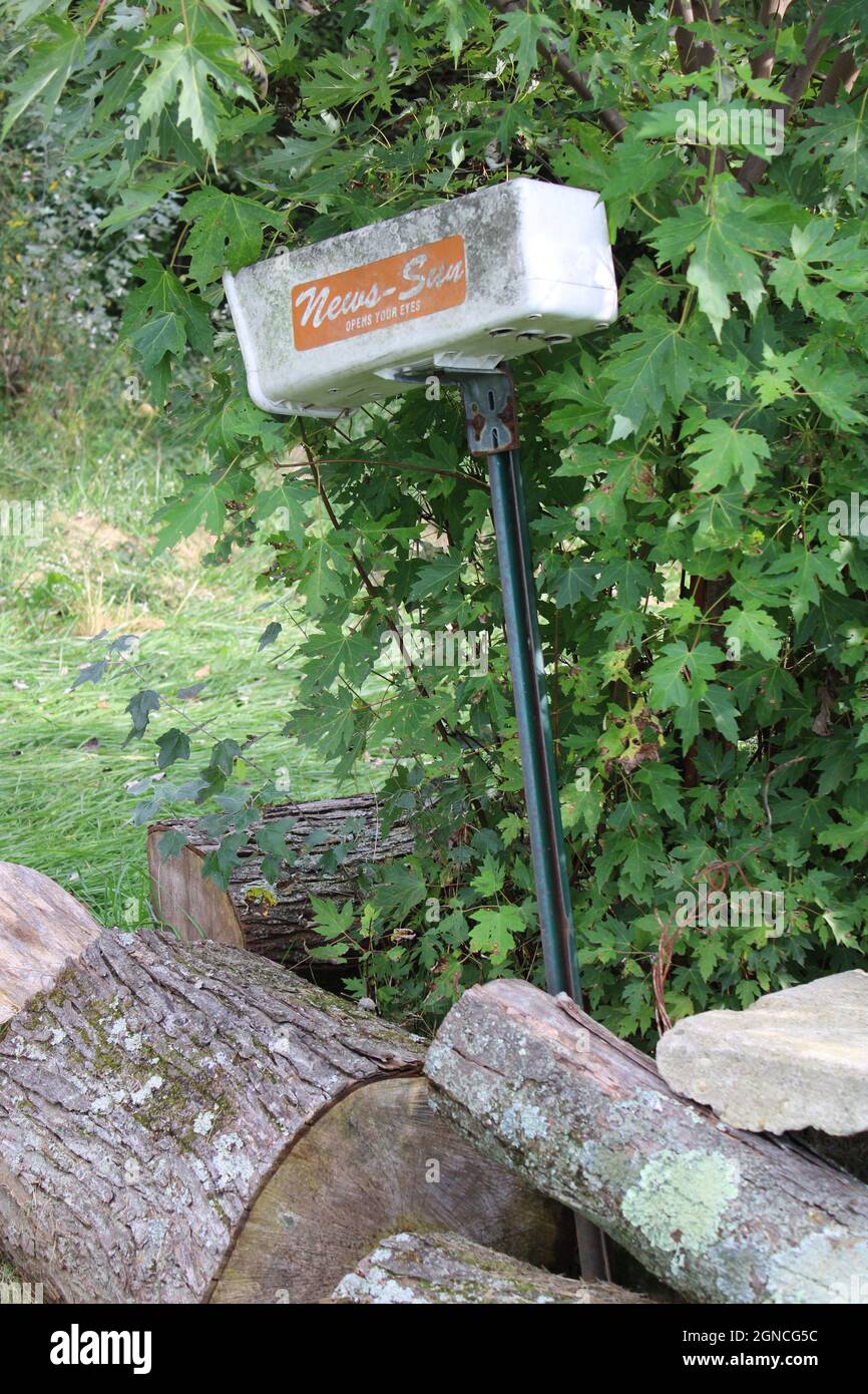 Vecchia mailbox nel bosco. Foto Stock
