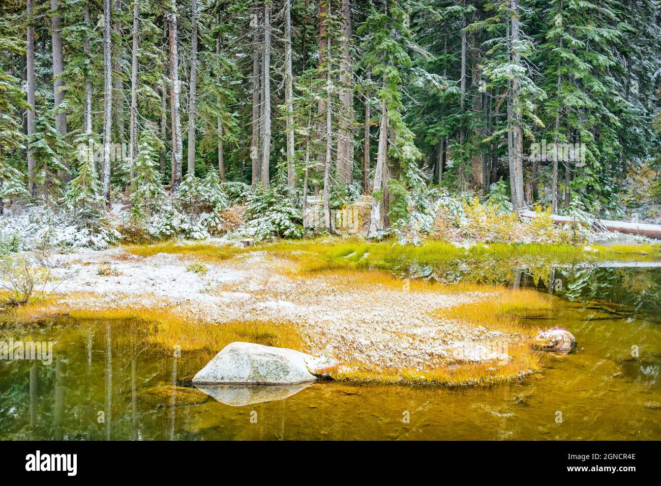 Laghetto con la prima polvere di neve in autunno, North Cascades National Park, Washington state, USA Foto Stock