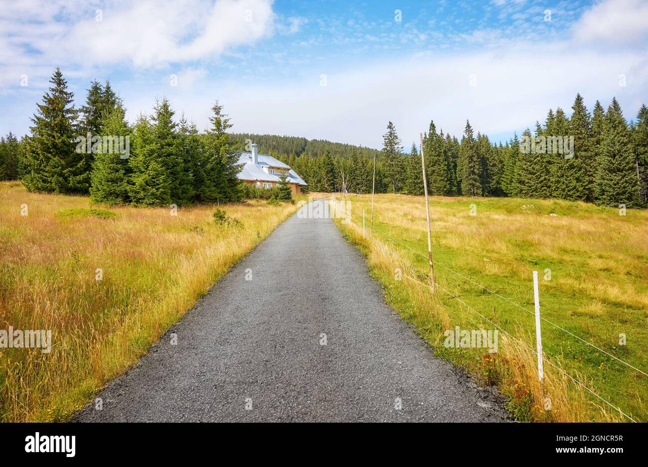 Strada asfaltata in montagne giganti (Karkonosze), Repubblica Ceca. Foto Stock
