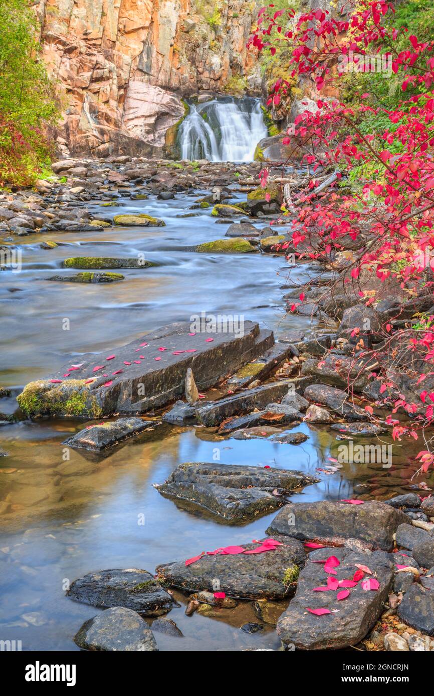 colori autunnali lungo il torrente tenerfoot vicino a sorgenti di zolfo bianco, montana Foto Stock