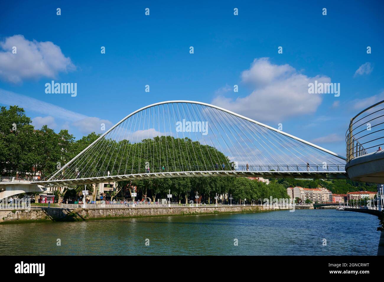Ponte Zubizuri (Santiago Calatrava ponte) Nervion River, Bilbao, Biscaglia, Paese Basco, Euskadi, Euskal Herria, Spagna, Europa Foto Stock