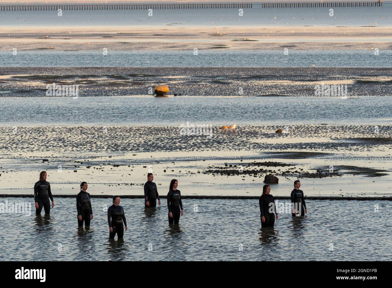 East Beach, Shoeburyness, Essex, Regno Unito. 24 settembre 2021. Si è svolta una performance straordinaria utilizzando l'estuario del Tamigi al crepuscolo come 'stage'. Chiamato LIMO, è descritto come una performance sensibile al clima, specifica per il sito commissionata come elemento chiave per Estuary 2021. Immagina come gli esseri umani potrebbero evolversi oltre un imminente disastro climatico, esaminando le questioni relative all'aumento dei livelli del mare e le performance live in acqua di un gruppo di circa 20 artisti di Arbonauts, un'azienda multidisciplinare fondata da Helen Galliano e Dimitri Launder. L'evento era gratuito Foto Stock East Beach, Shoeburyness, Essex, Regno Unito. 24 settembre 2021. Si è svolta una performance straordinaria utilizzando l'estuario del Tamigi al crepuscolo come 'stage'. Chiamato LIMO, è descritto come una performance sensibile al clima, specifica per il sito commissionata come elemento chiave per Estuary 2021. Immagina come gli esseri umani potrebbero evolversi oltre un imminente disastro climatico, esaminando le questioni relative all'aumento dei livelli del mare e le performance live in acqua di un gruppo di circa 20 artisti di Arbonauts, un'azienda multidisciplinare fondata da Helen Galliano e Dimitri Launder. L'evento era gratuito Foto Stock