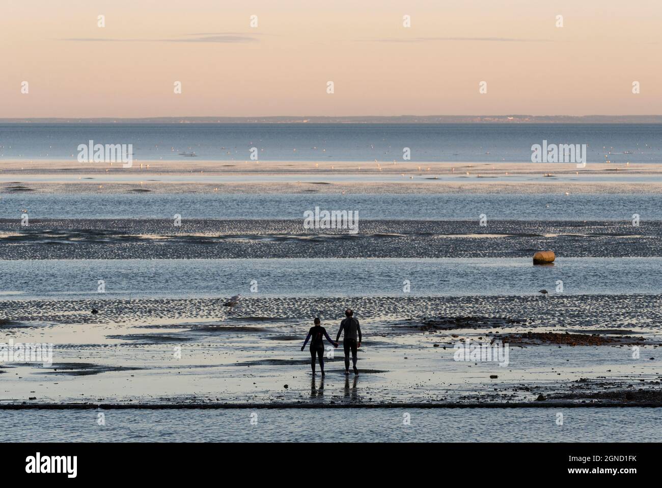 East Beach, Shoeburyness, Essex, Regno Unito. 24 settembre 2021. Si è svolta una performance straordinaria utilizzando l'estuario del Tamigi al crepuscolo come 'stage'. Chiamato LIMO, è descritto come una performance sensibile al clima, specifica per il sito commissionata come elemento chiave per Estuary 2021. Immagina come gli esseri umani potrebbero evolversi oltre un imminente disastro climatico, esaminando le questioni relative all'aumento dei livelli del mare e le performance live in acqua di un gruppo di circa 20 artisti di Arbonauts, un'azienda multidisciplinare fondata da Helen Galliano e Dimitri Launder. L'evento era gratuito Foto Stock East Beach, Shoeburyness, Essex, Regno Unito. 24 settembre 2021. Si è svolta una performance straordinaria utilizzando l'estuario del Tamigi al crepuscolo come 'stage'. Chiamato LIMO, è descritto come una performance sensibile al clima, specifica per il sito commissionata come elemento chiave per Estuary 2021. Immagina come gli esseri umani potrebbero evolversi oltre un imminente disastro climatico, esaminando le questioni relative all'aumento dei livelli del mare e le performance live in acqua di un gruppo di circa 20 artisti di Arbonauts, un'azienda multidisciplinare fondata da Helen Galliano e Dimitri Launder. L'evento era gratuito Foto Stock