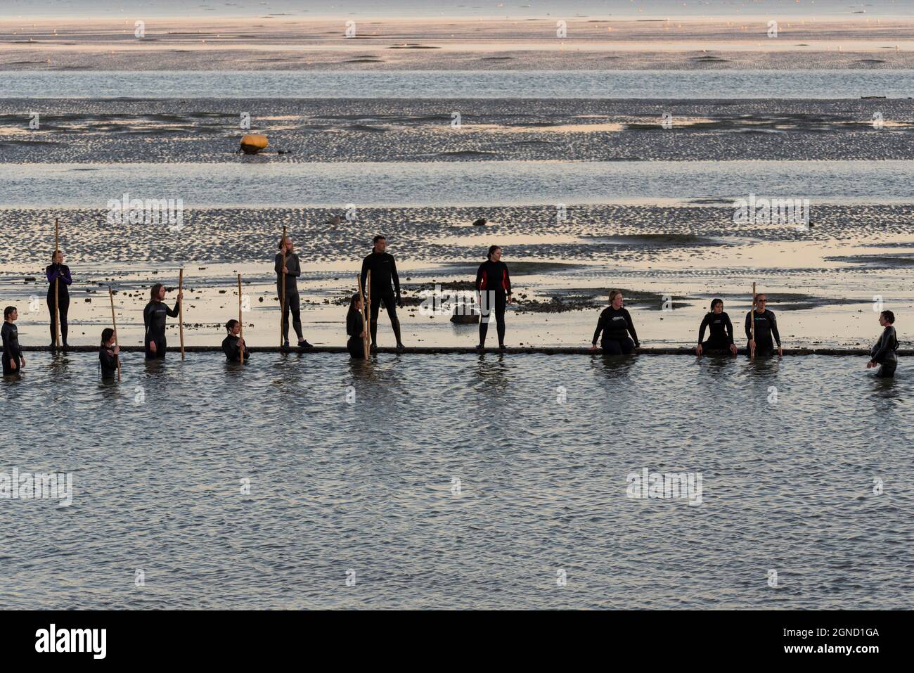 East Beach, Shoeburyness, Essex, Regno Unito. 24 settembre 2021. Si è svolta una performance straordinaria utilizzando l'estuario del Tamigi al crepuscolo come 'stage'. Chiamato LIMO, è descritto come una performance sensibile al clima, specifica per il sito commissionata come elemento chiave per Estuary 2021. Immagina come gli esseri umani potrebbero evolversi oltre un imminente disastro climatico, esaminando le questioni relative all'aumento dei livelli del mare e le performance live in acqua di un gruppo di circa 20 artisti di Arbonauts, un'azienda multidisciplinare fondata da Helen Galliano e Dimitri Launder. L'evento era gratuito Foto Stock East Beach, Shoeburyness, Essex, Regno Unito. 24 settembre 2021. Si è svolta una performance straordinaria utilizzando l'estuario del Tamigi al crepuscolo come 'stage'. Chiamato LIMO, è descritto come una performance sensibile al clima, specifica per il sito commissionata come elemento chiave per Estuary 2021. Immagina come gli esseri umani potrebbero evolversi oltre un imminente disastro climatico, esaminando le questioni relative all'aumento dei livelli del mare e le performance live in acqua di un gruppo di circa 20 artisti di Arbonauts, un'azienda multidisciplinare fondata da Helen Galliano e Dimitri Launder. L'evento era gratuito Foto Stock