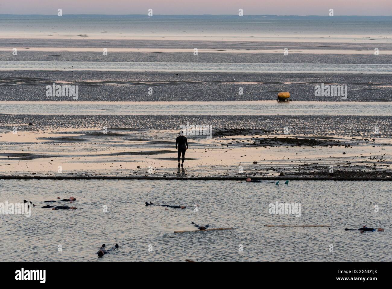 East Beach, Shoeburyness, Essex, Regno Unito. 24 settembre 2021. Si è svolta una performance straordinaria utilizzando l'estuario del Tamigi al crepuscolo come 'stage'. Chiamato LIMO, è descritto come una performance sensibile al clima, specifica per il sito commissionata come elemento chiave per Estuary 2021. Immagina come gli esseri umani potrebbero evolversi oltre un imminente disastro climatico, esaminando le questioni relative all'aumento dei livelli del mare e le performance live in acqua di un gruppo di circa 20 artisti di Arbonauts, un'azienda multidisciplinare fondata da Helen Galliano e Dimitri Launder. L'evento era gratuito Foto Stock East Beach, Shoeburyness, Essex, Regno Unito. 24 settembre 2021. Si è svolta una performance straordinaria utilizzando l'estuario del Tamigi al crepuscolo come 'stage'. Chiamato LIMO, è descritto come una performance sensibile al clima, specifica per il sito commissionata come elemento chiave per Estuary 2021. Immagina come gli esseri umani potrebbero evolversi oltre un imminente disastro climatico, esaminando le questioni relative all'aumento dei livelli del mare e le performance live in acqua di un gruppo di circa 20 artisti di Arbonauts, un'azienda multidisciplinare fondata da Helen Galliano e Dimitri Launder. L'evento era gratuito Foto Stock