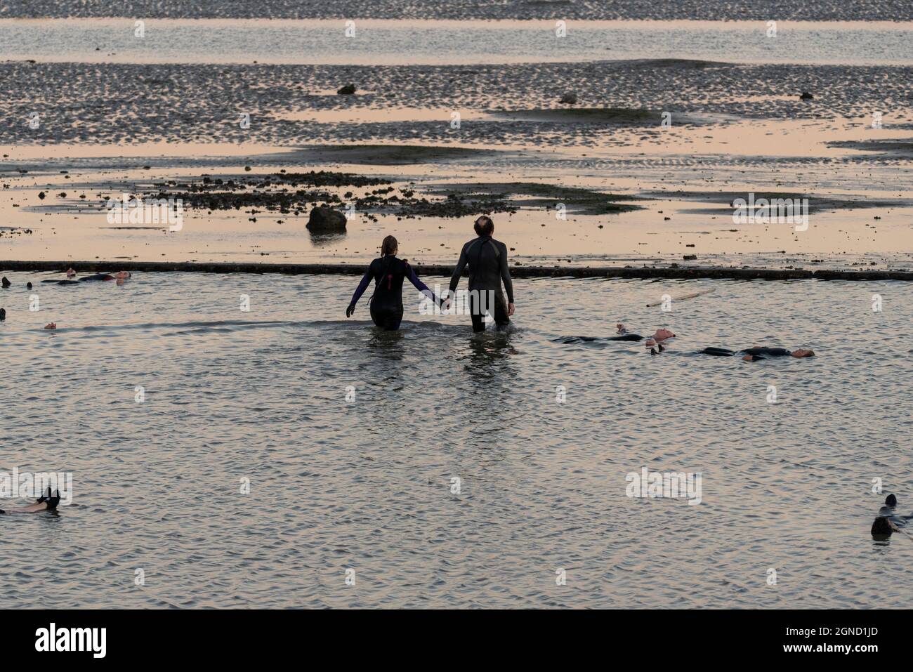 East Beach, Shoeburyness, Essex, Regno Unito. 24 settembre 2021. Si è svolta una performance straordinaria utilizzando l'estuario del Tamigi al crepuscolo come 'stage'. Chiamato LIMO, è descritto come una performance sensibile al clima, specifica per il sito commissionata come elemento chiave per Estuary 2021. Immagina come gli esseri umani potrebbero evolversi oltre un imminente disastro climatico, esaminando le questioni relative all'aumento dei livelli del mare e le performance live in acqua di un gruppo di circa 20 artisti di Arbonauts, un'azienda multidisciplinare fondata da Helen Galliano e Dimitri Launder. L'evento era gratuito Foto Stock East Beach, Shoeburyness, Essex, Regno Unito. 24 settembre 2021. Si è svolta una performance straordinaria utilizzando l'estuario del Tamigi al crepuscolo come 'stage'. Chiamato LIMO, è descritto come una performance sensibile al clima, specifica per il sito commissionata come elemento chiave per Estuary 2021. Immagina come gli esseri umani potrebbero evolversi oltre un imminente disastro climatico, esaminando le questioni relative all'aumento dei livelli del mare e le performance live in acqua di un gruppo di circa 20 artisti di Arbonauts, un'azienda multidisciplinare fondata da Helen Galliano e Dimitri Launder. L'evento era gratuito Foto Stock