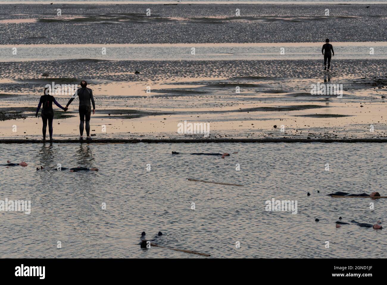 East Beach, Shoeburyness, Essex, Regno Unito. 24 settembre 2021. Si è svolta una performance straordinaria utilizzando l'estuario del Tamigi al crepuscolo come 'stage'. Chiamato LIMO, è descritto come una performance sensibile al clima, specifica per il sito commissionata come elemento chiave per Estuary 2021. Immagina come gli esseri umani potrebbero evolversi oltre un imminente disastro climatico, esaminando le questioni relative all'aumento dei livelli del mare e le performance live in acqua di un gruppo di circa 20 artisti di Arbonauts, un'azienda multidisciplinare fondata da Helen Galliano e Dimitri Launder. L'evento era gratuito Foto Stock East Beach, Shoeburyness, Essex, Regno Unito. 24 settembre 2021. Si è svolta una performance straordinaria utilizzando l'estuario del Tamigi al crepuscolo come 'stage'. Chiamato LIMO, è descritto come una performance sensibile al clima, specifica per il sito commissionata come elemento chiave per Estuary 2021. Immagina come gli esseri umani potrebbero evolversi oltre un imminente disastro climatico, esaminando le questioni relative all'aumento dei livelli del mare e le performance live in acqua di un gruppo di circa 20 artisti di Arbonauts, un'azienda multidisciplinare fondata da Helen Galliano e Dimitri Launder. L'evento era gratuito Foto Stock