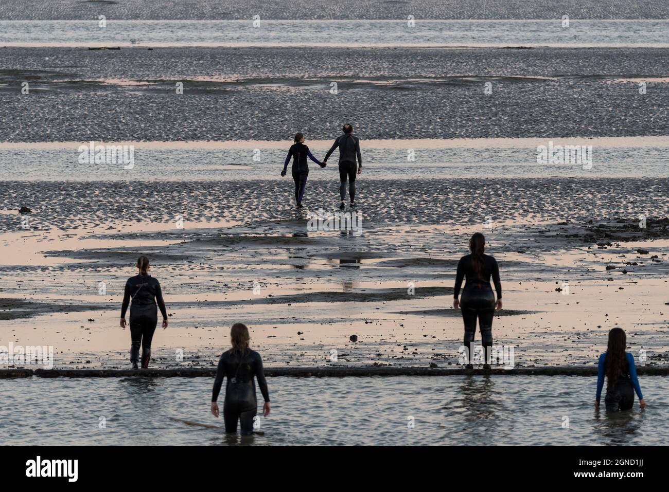 East Beach, Shoeburyness, Essex, Regno Unito. 24 settembre 2021. Si è svolta una performance straordinaria utilizzando l'estuario del Tamigi al crepuscolo come 'stage'. Chiamato LIMO, è descritto come una performance sensibile al clima, specifica per il sito commissionata come elemento chiave per Estuary 2021. Immagina come gli esseri umani potrebbero evolversi oltre un imminente disastro climatico, esaminando le questioni relative all'aumento dei livelli del mare e le performance live in acqua di un gruppo di circa 20 artisti di Arbonauts, un'azienda multidisciplinare fondata da Helen Galliano e Dimitri Launder. L'evento era gratuito Foto Stock East Beach, Shoeburyness, Essex, Regno Unito. 24 settembre 2021. Si è svolta una performance straordinaria utilizzando l'estuario del Tamigi al crepuscolo come 'stage'. Chiamato LIMO, è descritto come una performance sensibile al clima, specifica per il sito commissionata come elemento chiave per Estuary 2021. Immagina come gli esseri umani potrebbero evolversi oltre un imminente disastro climatico, esaminando le questioni relative all'aumento dei livelli del mare e le performance live in acqua di un gruppo di circa 20 artisti di Arbonauts, un'azienda multidisciplinare fondata da Helen Galliano e Dimitri Launder. L'evento era gratuito Foto Stock