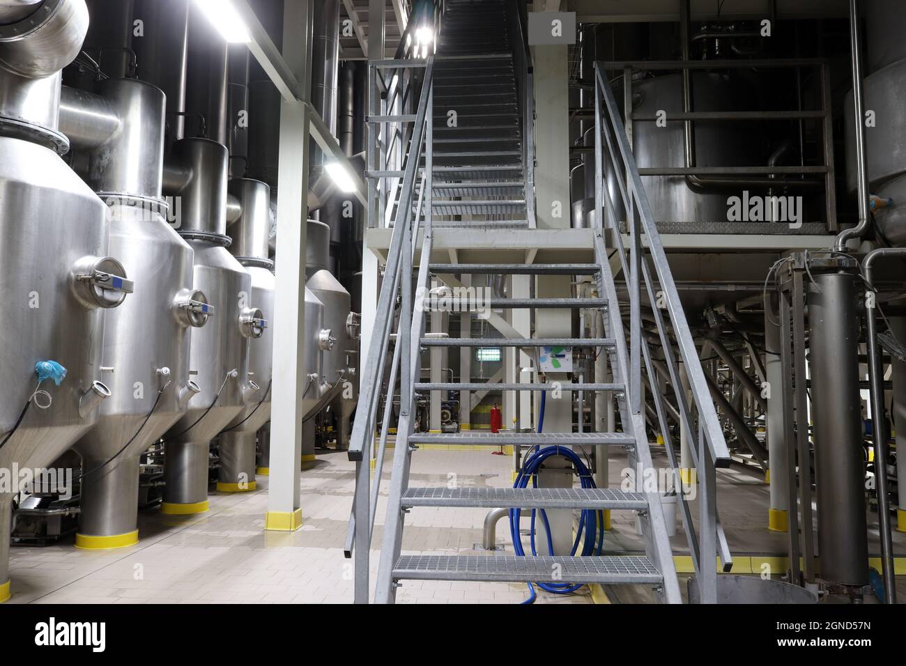 All'interno della fabbrica di latte. Impianto di lavorazione degli alimenti. Foto Stock