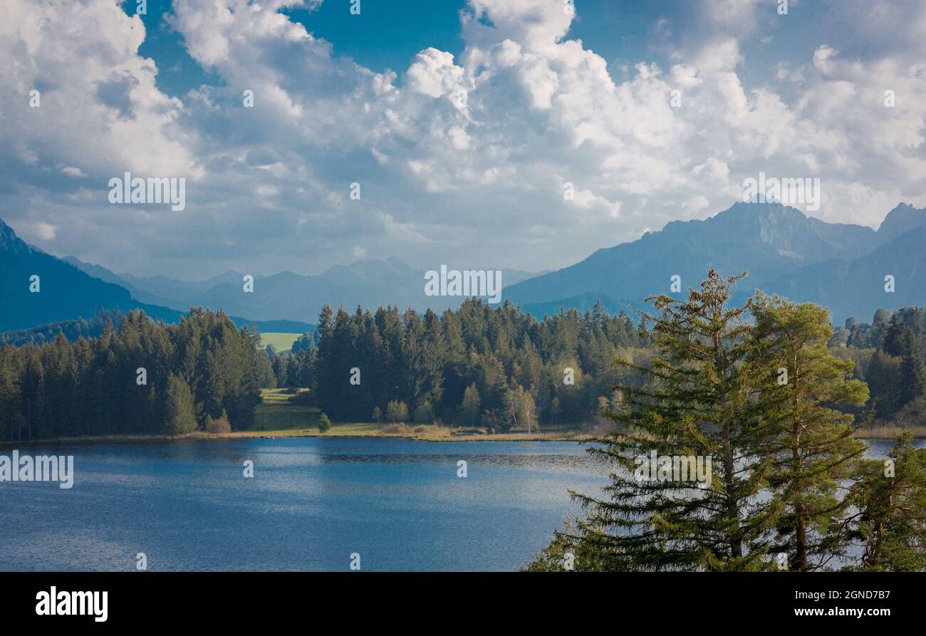 Un lago nella regione tedesca di Allgäu con montagne sullo sfondo. Acqua blu e cielo con nuvole e alberi. Vista tipica nella Germania meridionale. Foto Stock