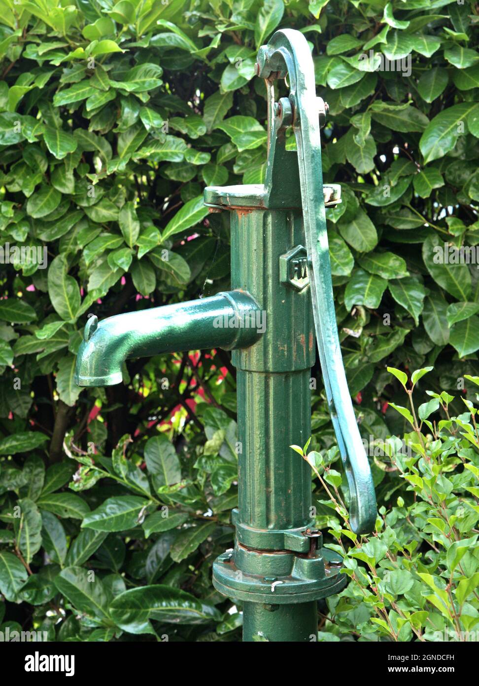 Una vecchia pompa dell'acqua verde nel giardino. L'acqua freatica viene pompata a mano con la pompa. Foto Stock