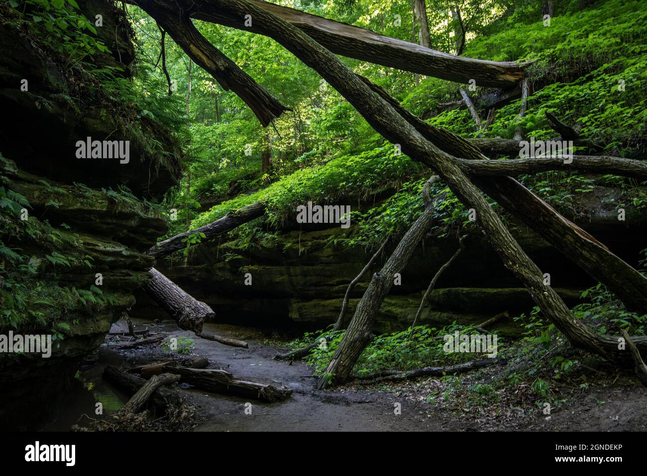 Parco statale di Turkey Run - Marshall - Indiana Foto Stock