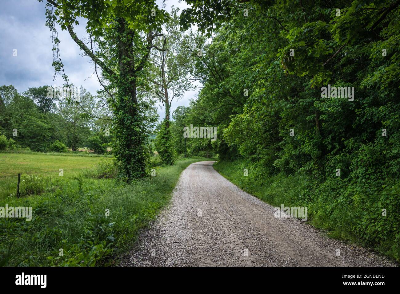 Country Roads - Greene County - Bloomfield - Indiana Foto Stock