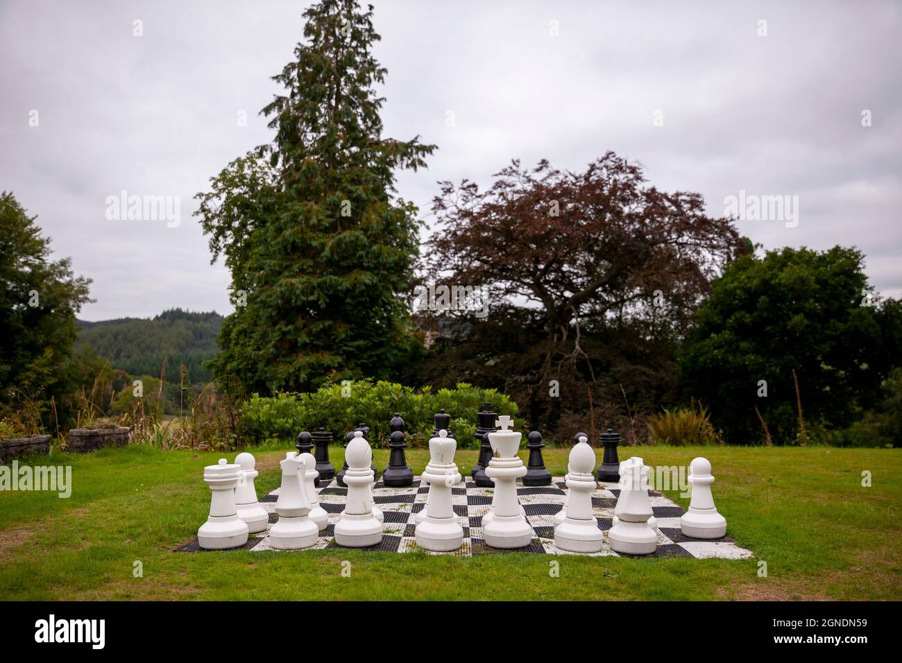 Scacchi giganti allestito in un giardino di campagna inglese. Foto Stock