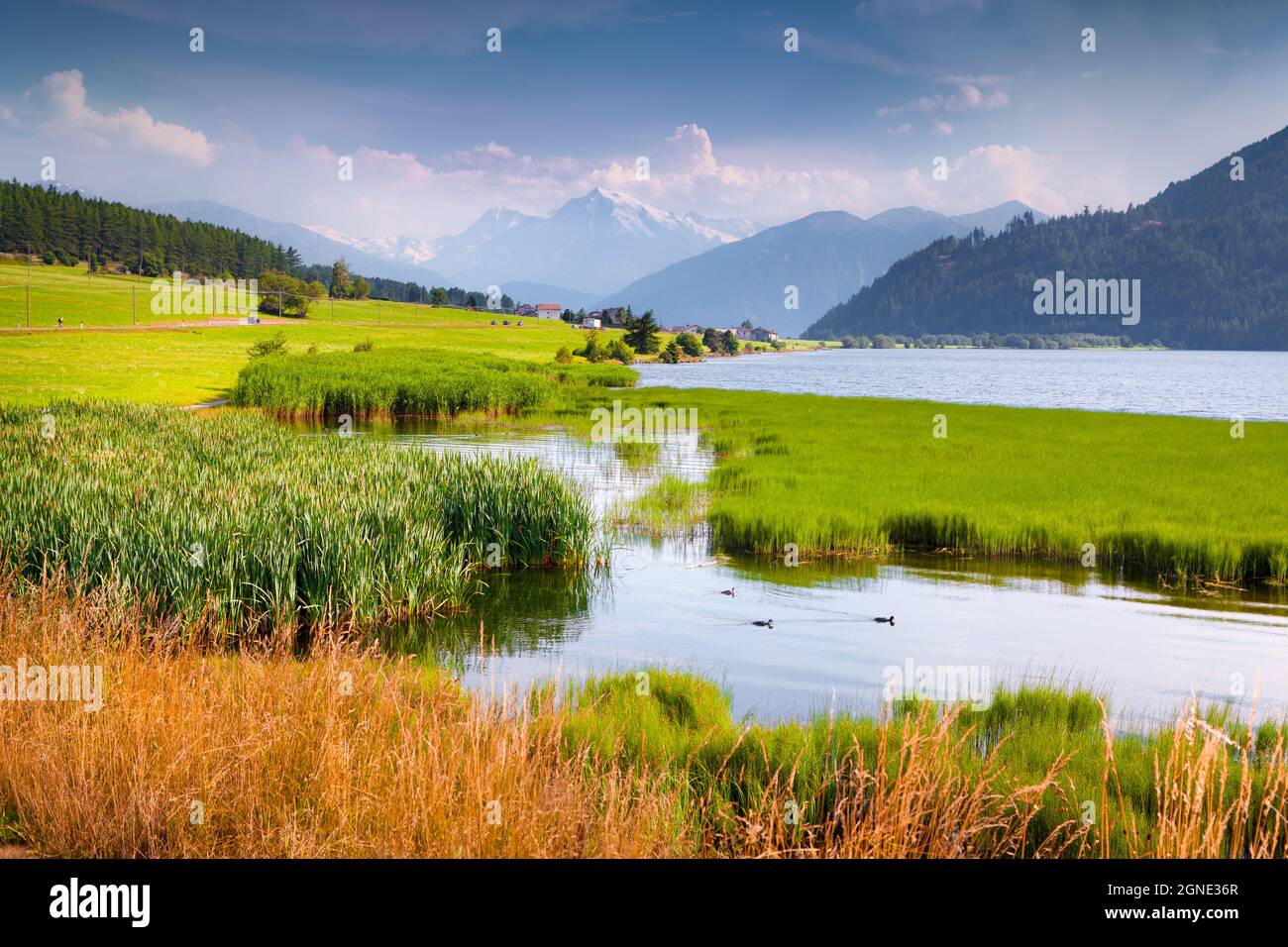 Colorata vista estiva della vetta di Ortler. Nebbia mattutina sul lago di Muta (Haidersee), località di San Valentino, Alto Adige, Italia, Europa. Artistico Foto Stock