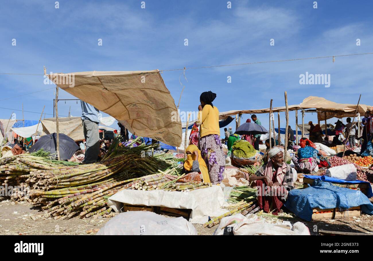 Canna da zucchero venduta al mercato settimanale a Bati, Etiopia. Foto Stock