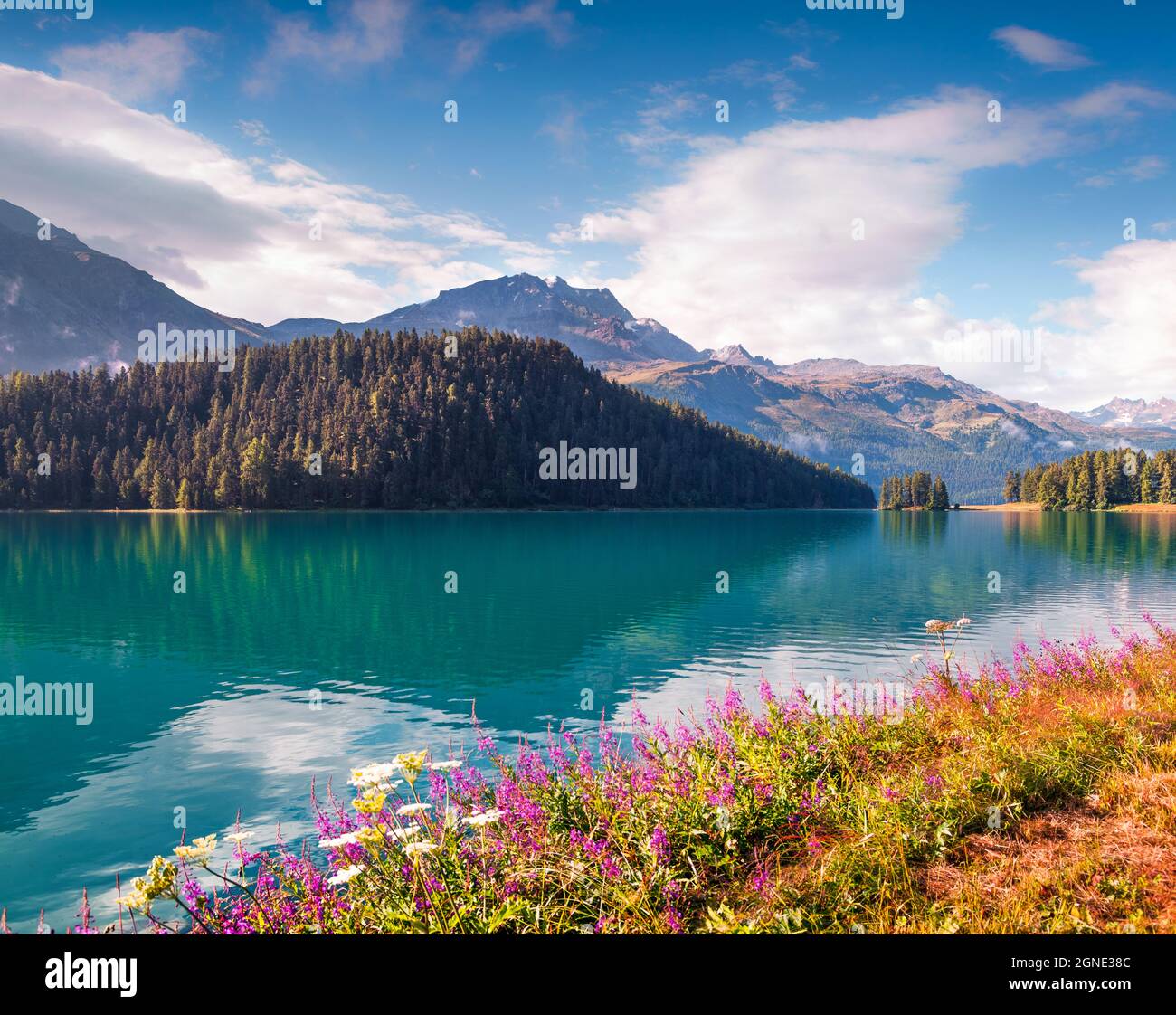 Bella mattinata estiva sul lago di Silvaplana. Grande scena all'aperto nelle Alpi svizzere, provincia di Sondrio Regione Lombardia, Italia, Europa. Stile artistico post p Foto Stock