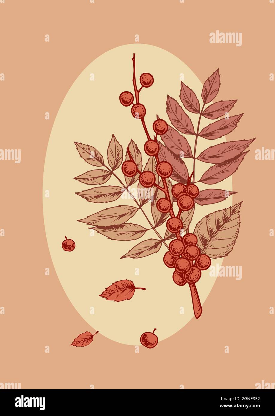 Poster autunnale con bacche rosse e foglie di acero. Illustrazione vettoriale disegnata a mano Illustrazione Vettoriale