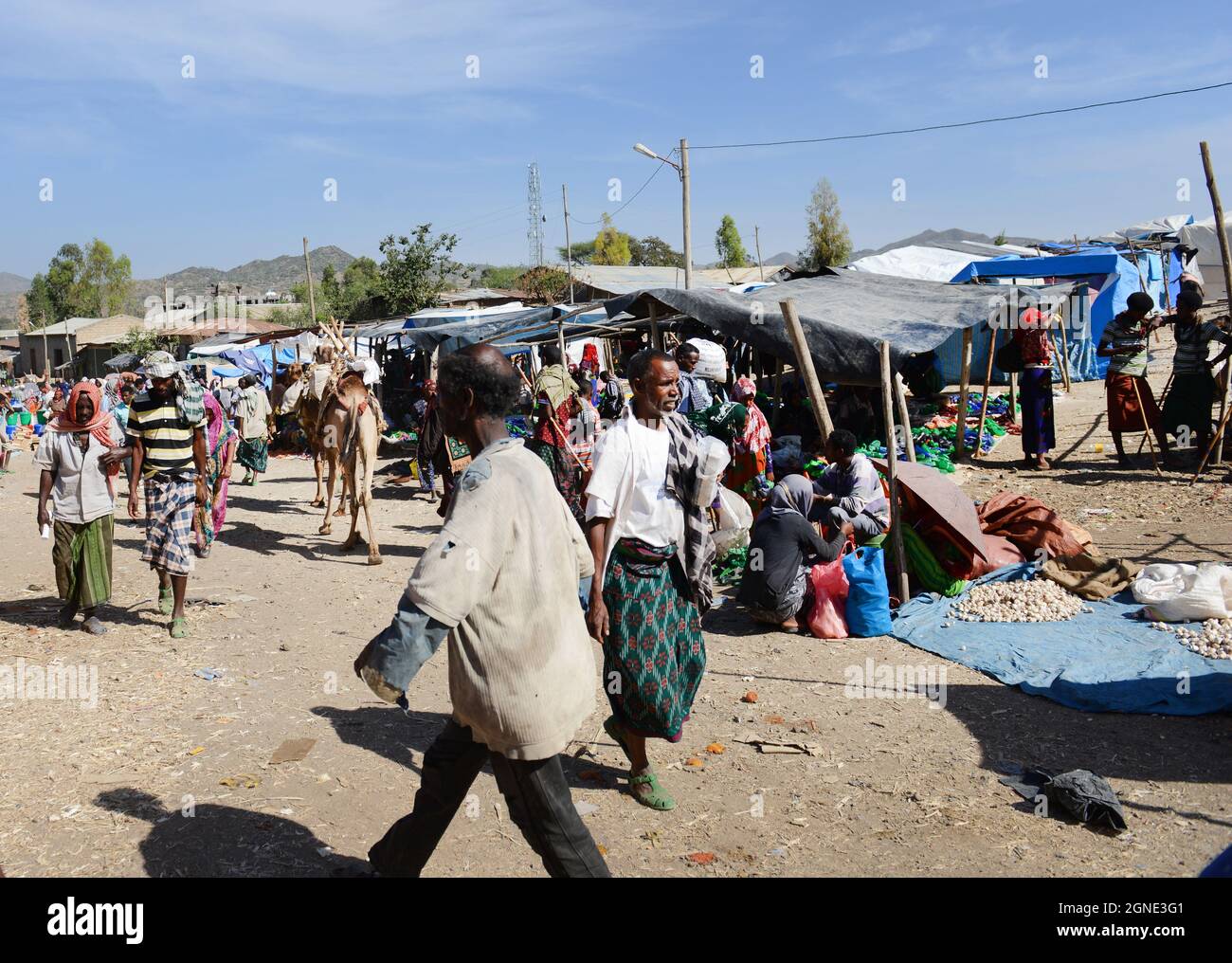 Il colorato mercato settimanale a Bati, Etiopia. Foto Stock