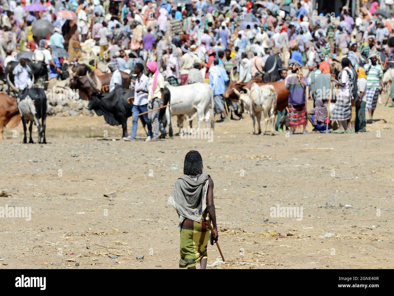 Il colorato mercato del bestiame al mercato settimanale a Bati, Etiopia. Foto Stock