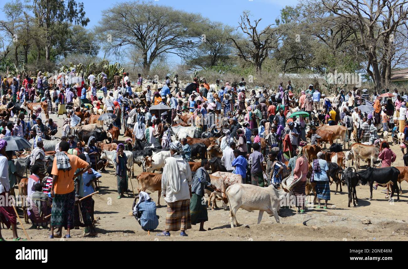 Il colorato mercato del bestiame al mercato settimanale a Bati, Etiopia. Foto Stock
