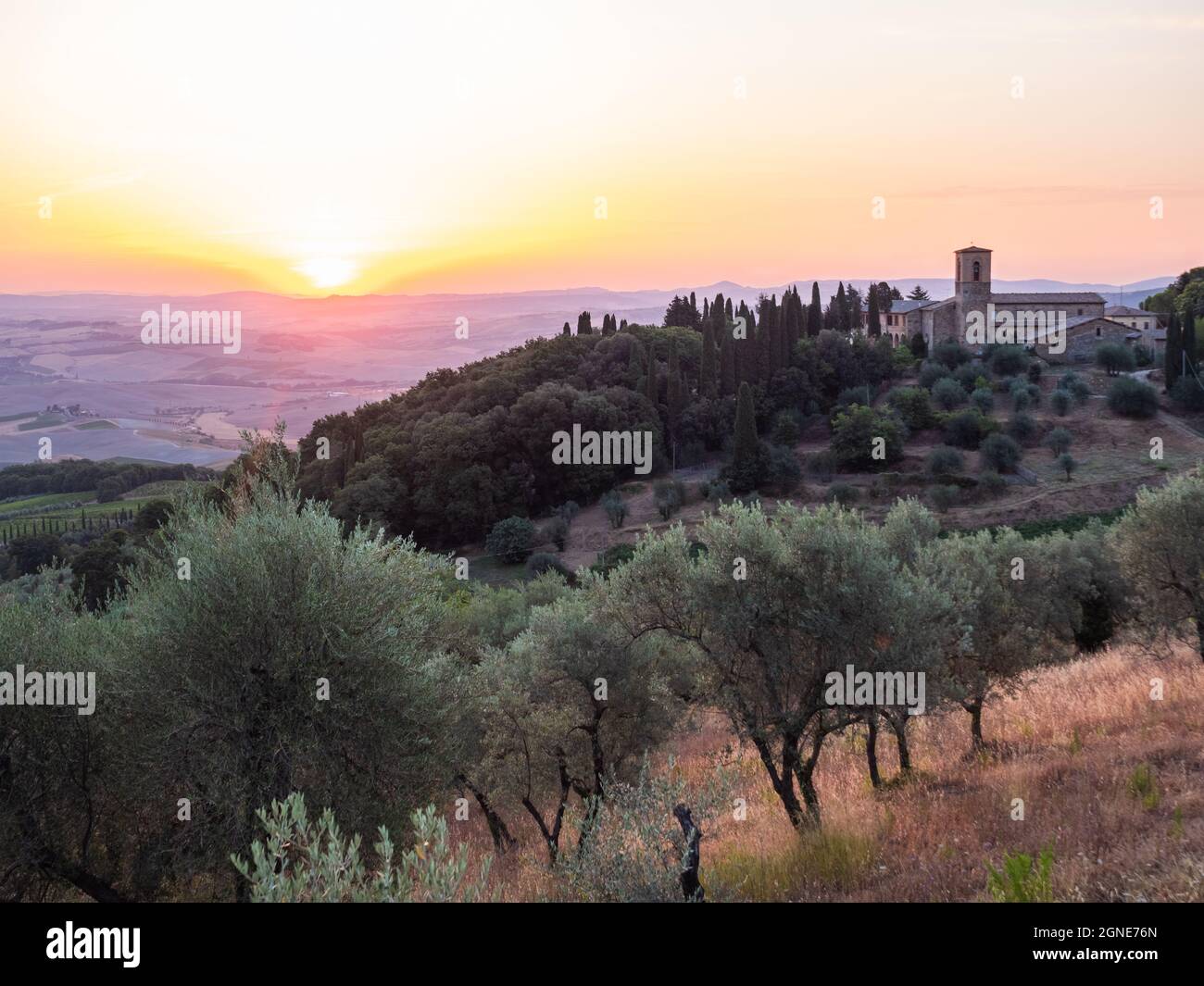 Paesaggio all'alba vicino a Montalcino al Convento dell'Ostservoanza in Toscana, Italia con olivi Foto Stock