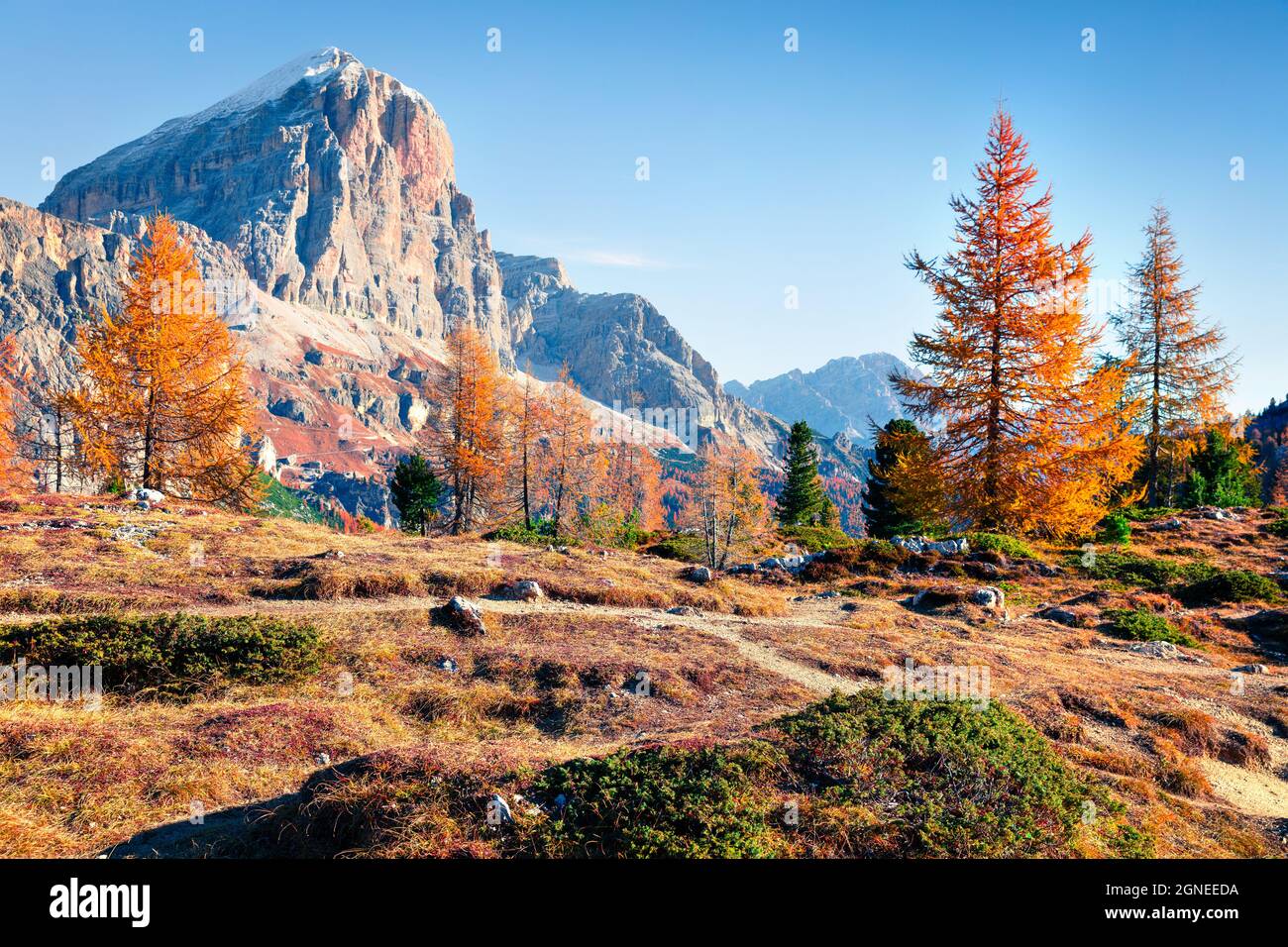 Vista incredibile dalla cima del passo di Falzarego con la catena montuosa del Lagazuoi. Mattinata autunnale colorata nelle Alpi dolomitiche, Cortina d'Ampezzo, Italia, Foto Stock