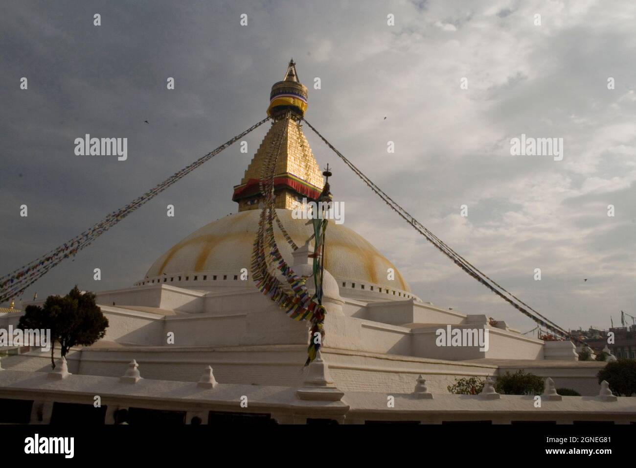 Il Boudhanath stupa è uno dei siti buddisti più sacri di Kathmandu, e un sito patrimonio dell'umanità dell'UNESCO. Kathmandu, Nepal. 7 febbraio 2008. Foto Stock