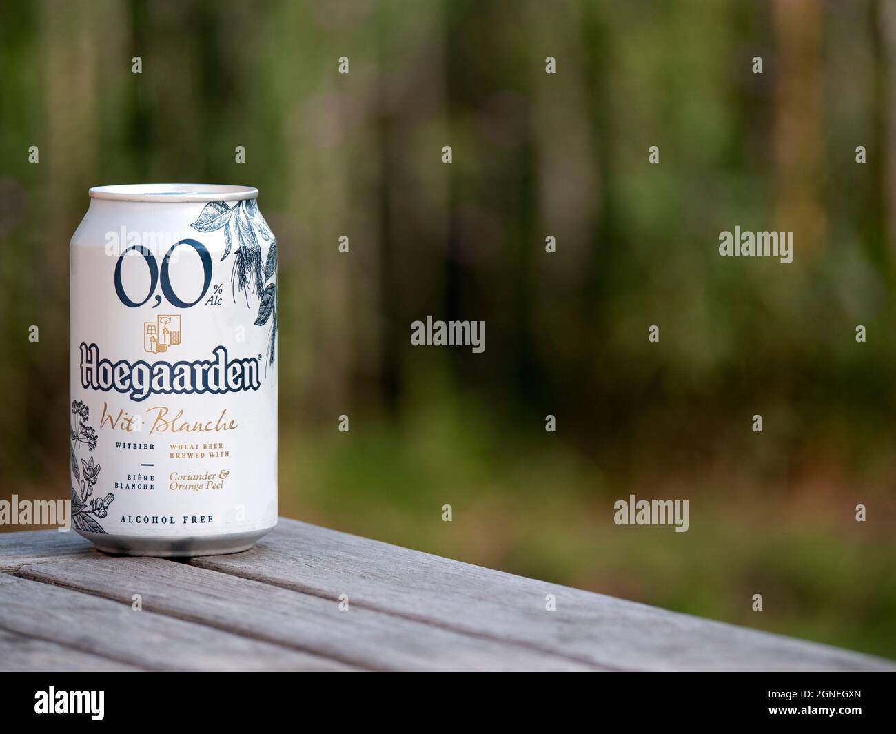 Hoegaarden, Belgio, 25 settembre 2021, il marchio di birra Hoegaarden birra bianca contiene il 0.0% di alcol, senza alcol, estratto nella De Kluis Brewe Foto Stock