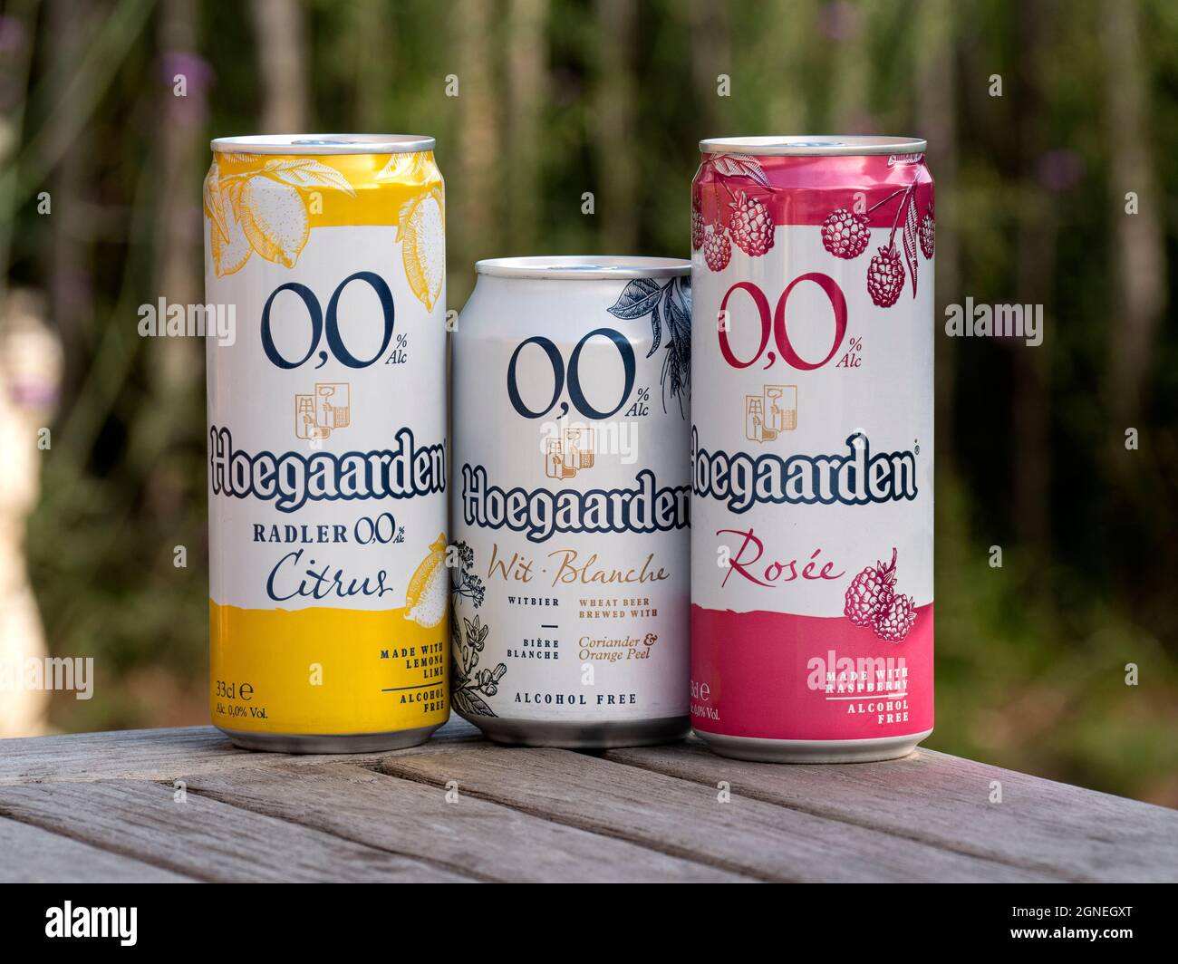 Hoegaarden, Belgio, 25 settembre 2021, le tre marche di birra Hoegaarden contengono il 0.0% di alcol, senza alcol, prodotto nel De Kluis br Foto Stock