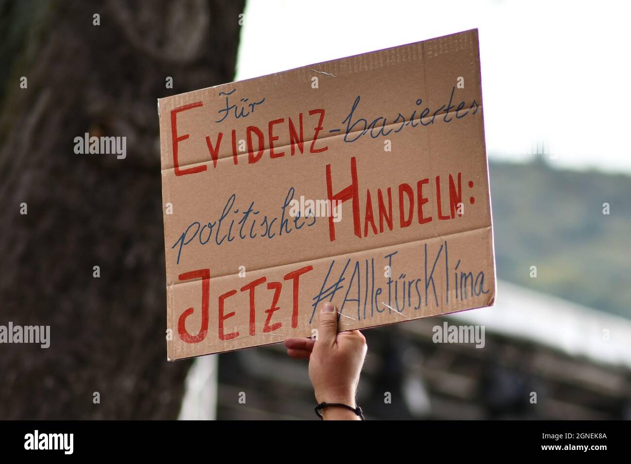 Heidelberg, Germania - 24 settembre 2021: Segno dicendo "per azione politica basata sulle prove" in tedesco alla manifestazione Global Climate Strike Foto Stock
