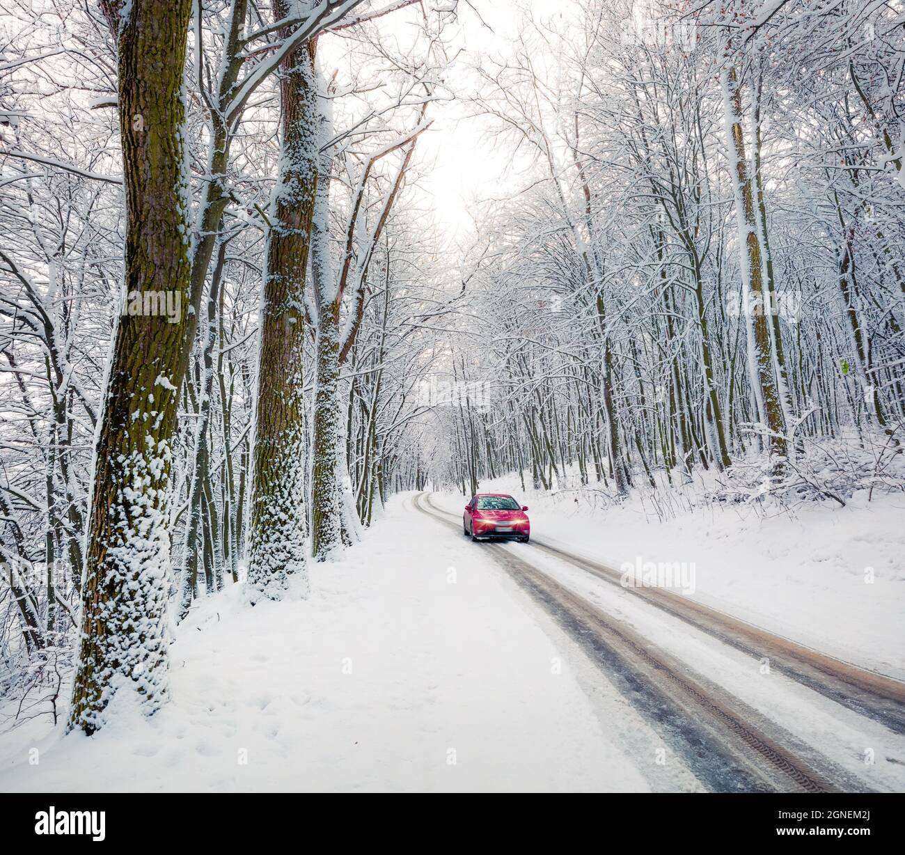 Guida di un'auto sulla strada nella foresta invernale con alberi innevati. Scena all'aperto innevata. Concetto di viaggio background. Foto Stock