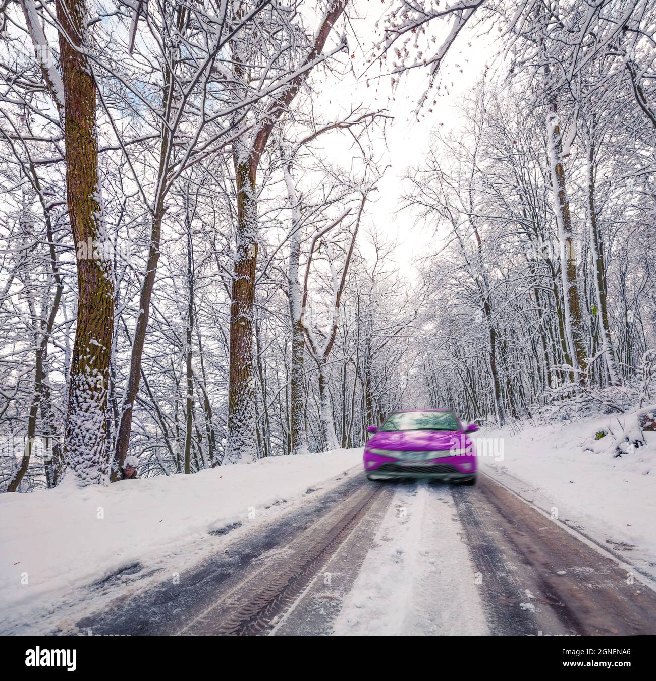 Guida di un'auto sulla strada nella foresta invernale con alberi innevati. Scena all'aperto innevata. Concetto di viaggio background. Foto Stock