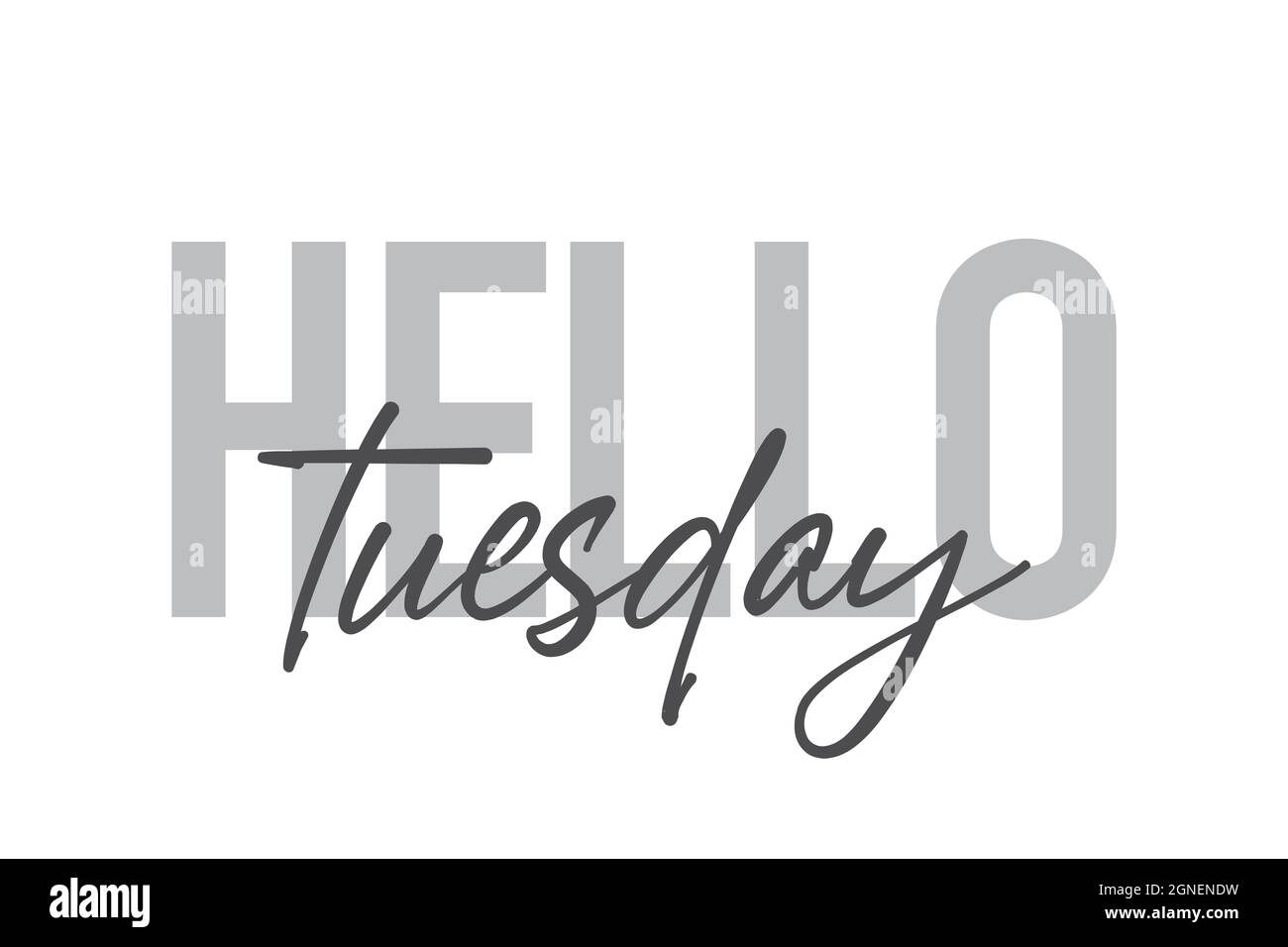 Design tipografico moderno, semplice e minimale di un detto "Hello Tuesday" in toni di grigio. Grafica vettoriale elegante, urbana, alla moda e giocosa con Foto Stock