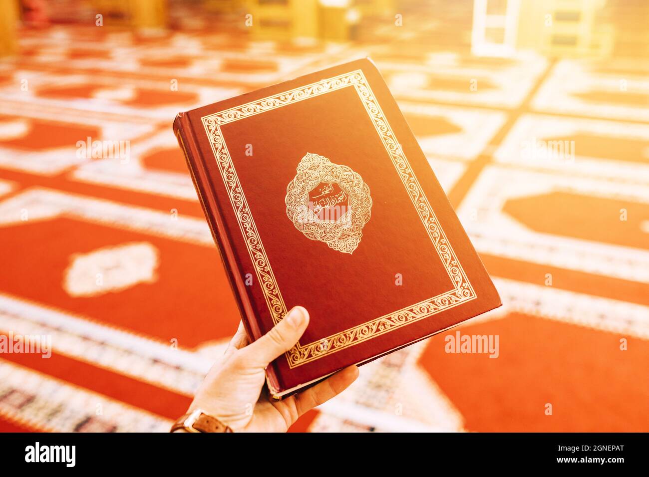 tenuta di mano quran. Alta qualità e risoluzione bellissimo concetto di foto Foto Stock