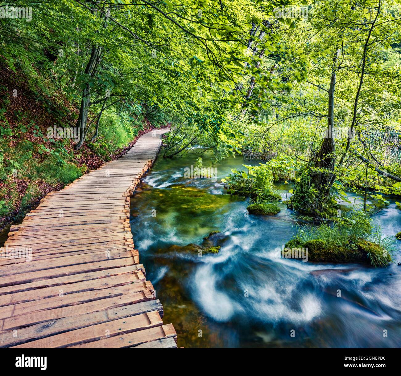 Splendida vista mattutina del Parco Nazionale di Plitvice. Fresca scena primaverile di foresta verde con fiume d'acqua pura. Splendido paesaggio di campagna della Croazia, Foto Stock