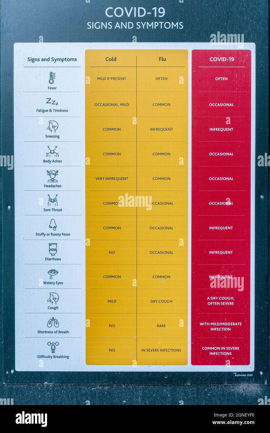 Segni e sintomi di coronavirus covid-19 rispetto a quelli di raffreddore o influenza in una tabella o grafico su un avviso al di fuori di un cantiere, Regno Unito Foto Stock