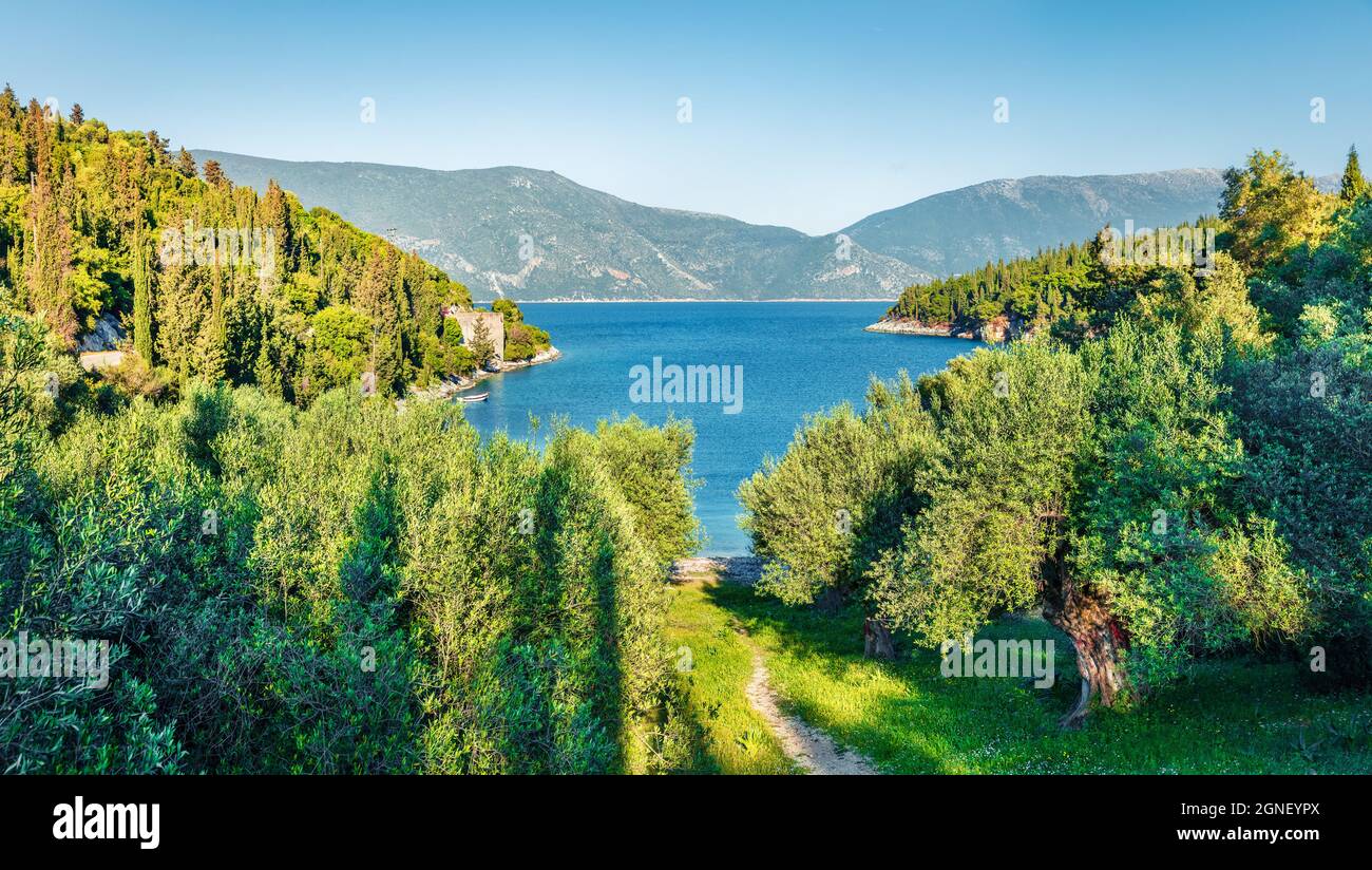 Splendida vista primaverile del giardino di ulivi sulla spiaggia di Phoki. Pittoresca scena di campagna dell'isola di Cefalonia, località di Tselentata, Grecia, Europa. Foto Stock