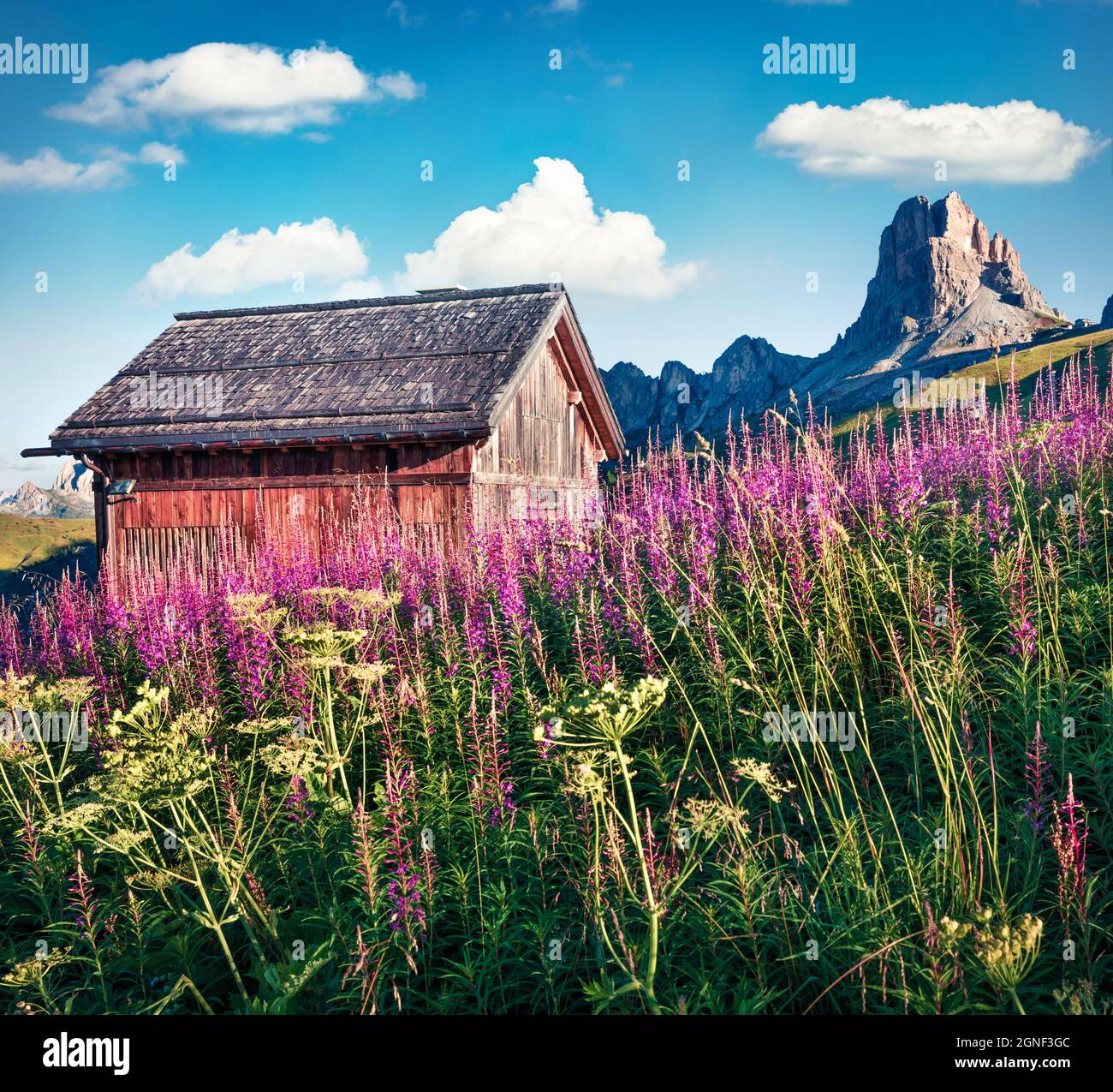 Affascinante vista mattutina del gruppo montuoso di Nuvolau dal Passo di Giau. Colorata scena estiva delle Alpi Dolomiti, località Cortina d'Ampezzo, Alto Adige Foto Stock