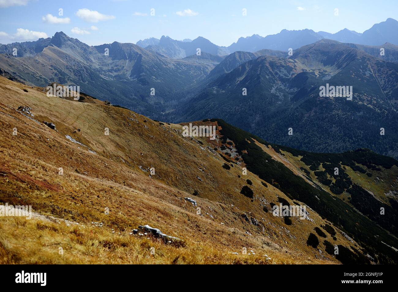 Paesaggio autunnale nei Monti Tatra - Zakopane. Foto Stock