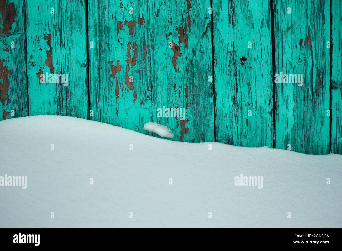 fondo in legno blu con neve intatta, vernice da peeling sul legno in inverno Foto Stock