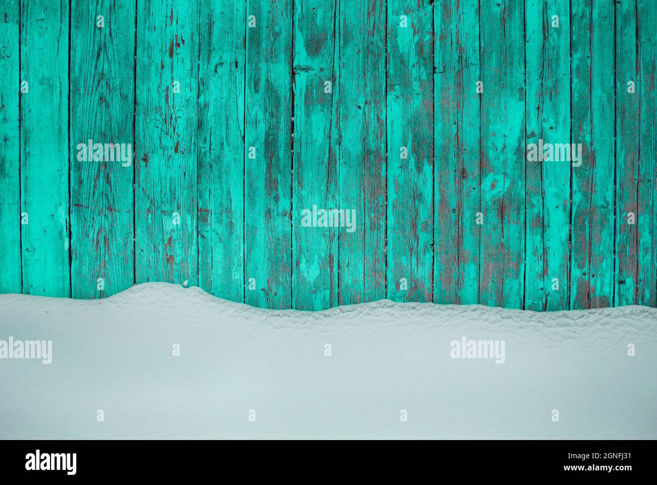 fondo in legno blu con neve intatta, vernice da peeling sul legno in inverno Foto Stock