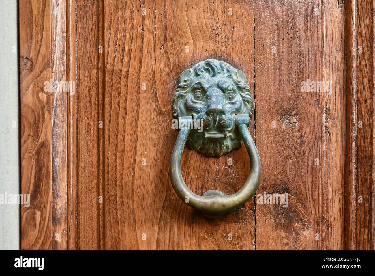 Primo piano di una vecchia porta di legno con un batticalcagno a forma di testa di leone, Toscana, Italia Foto Stock