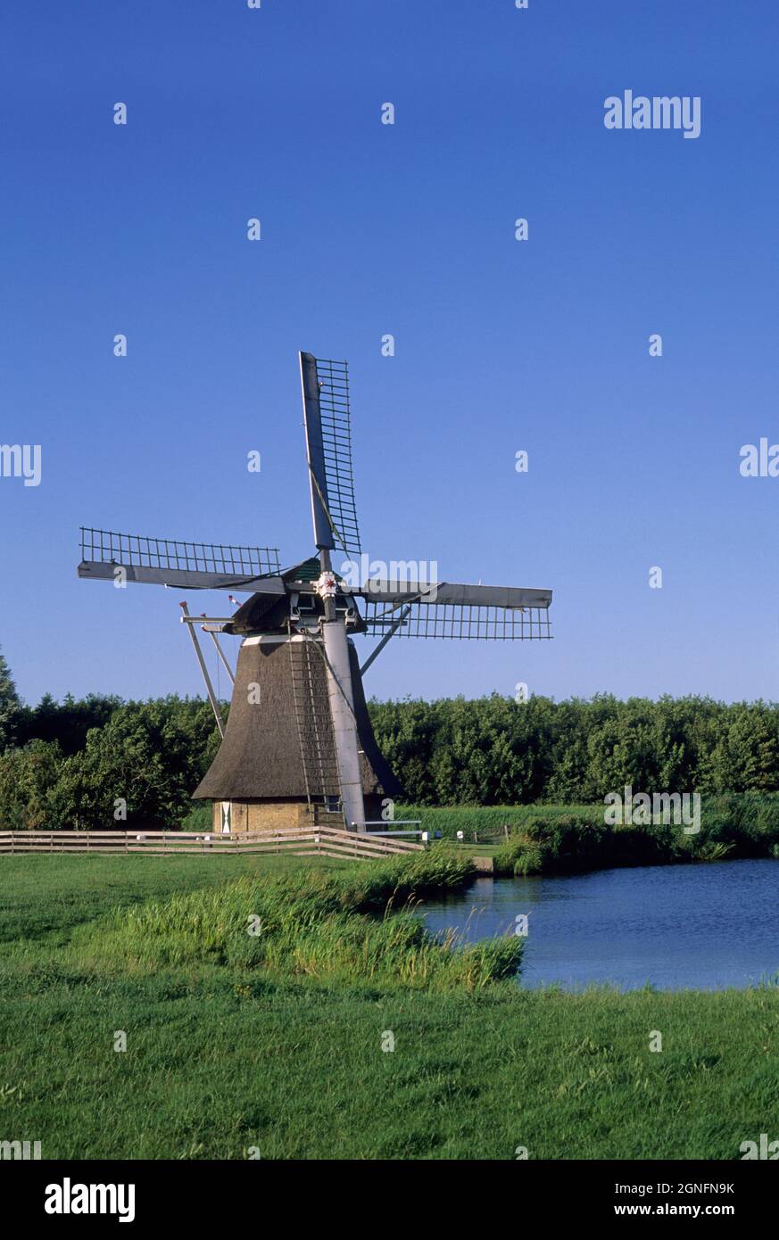 OLANDA, PAESI BASSI, REGIONE FRISIA, MULINO A VENTO Foto Stock